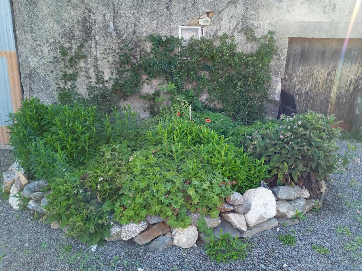Chez Gondat Chambre D'Hotes Saint-Martial-sur-Isop Kültér fotó